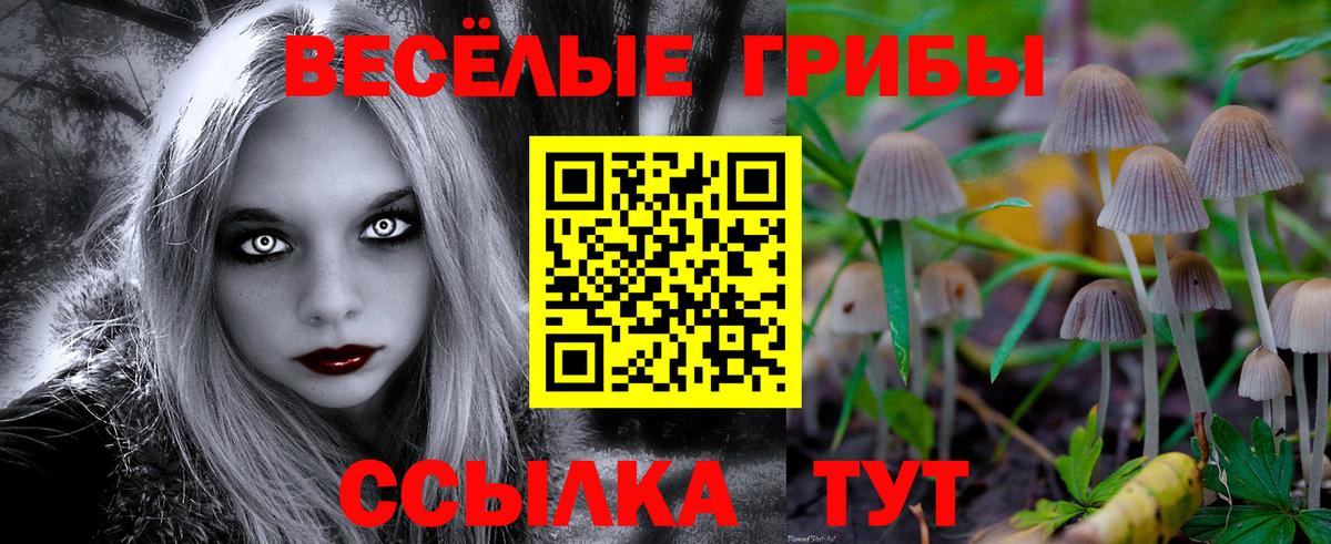 Псилоцибиновые грибы GOLDEN TEACHER Аргун