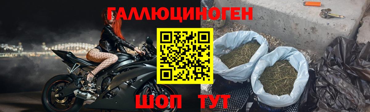 Галлюциногенные грибы мухоморы  Галлюциногенные грибы прущие грибы  Аргун  Вход с VPN 